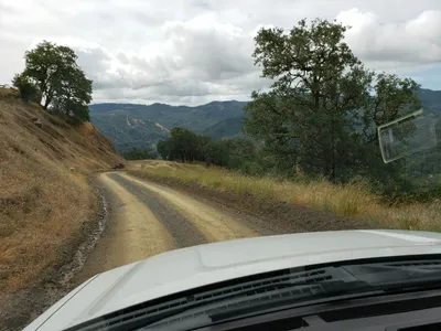 20190520_105631 (Large).jpg